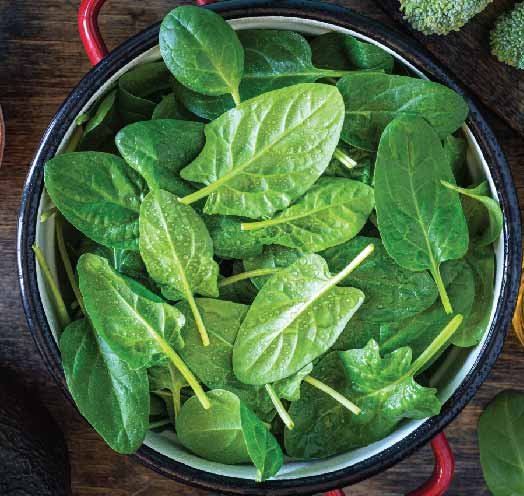 Healthy Foods